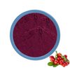 Bilberry Extrait Powder 25%
