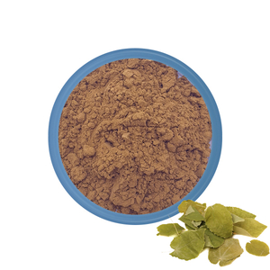 ÉpiMedium 