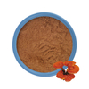 Extrait lucide Ganoderma