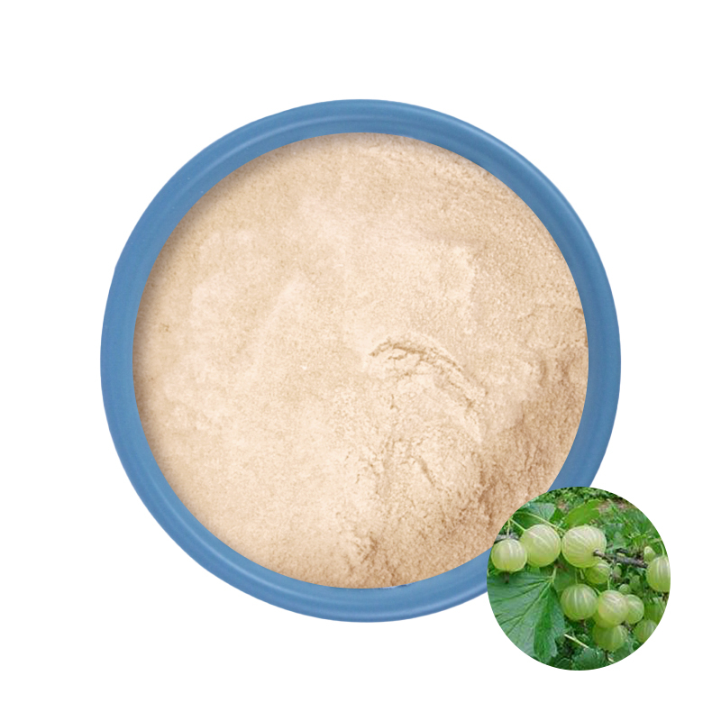Poudre de fruits Amla
