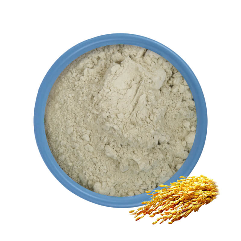 Poudre de protéine de riz bio
