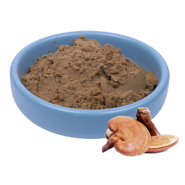 Extrait de Ganoderma lucide Extrait de champignon Reishi 35%