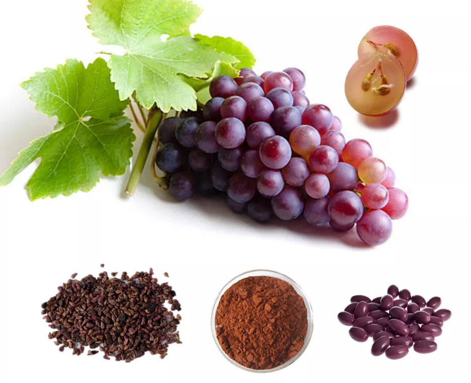 Qu'est-ce que l'extrait de graine de raisin?