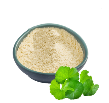 Extrait Centella Asiatica