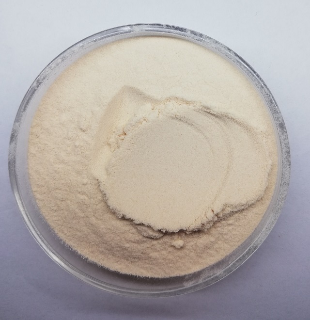 Extrait de soja phosphatidylsérine