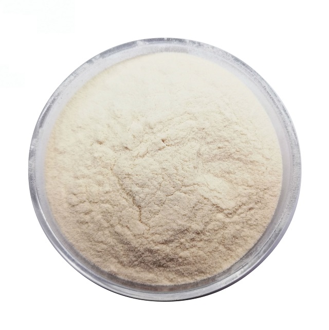 Extrait de soja phosphatidylsérine