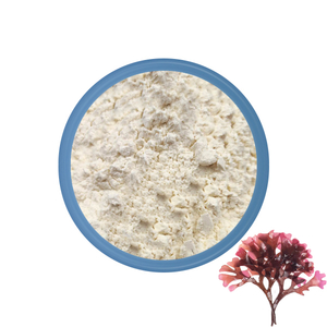 Powner de mousse de mer irlandaise biologique en gros